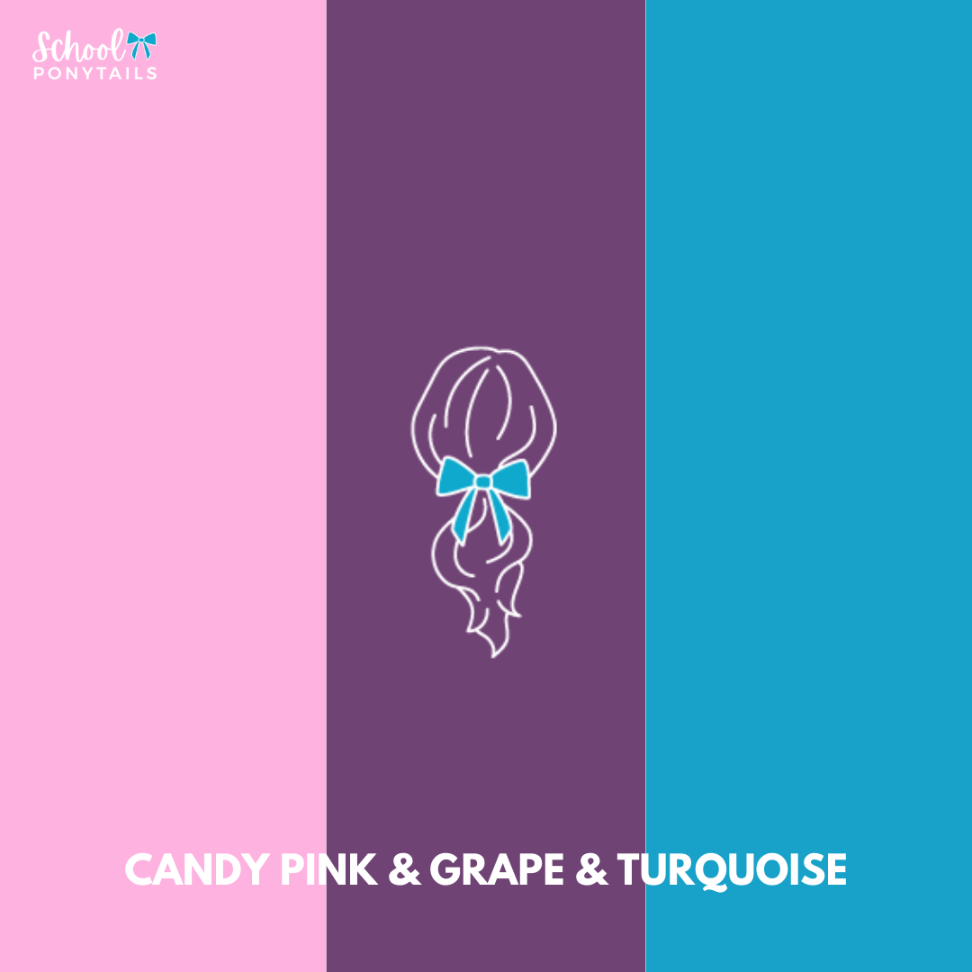 Candy Pink & Turquoise & Grape Hair Accessories - Ponytails and Fairytales
