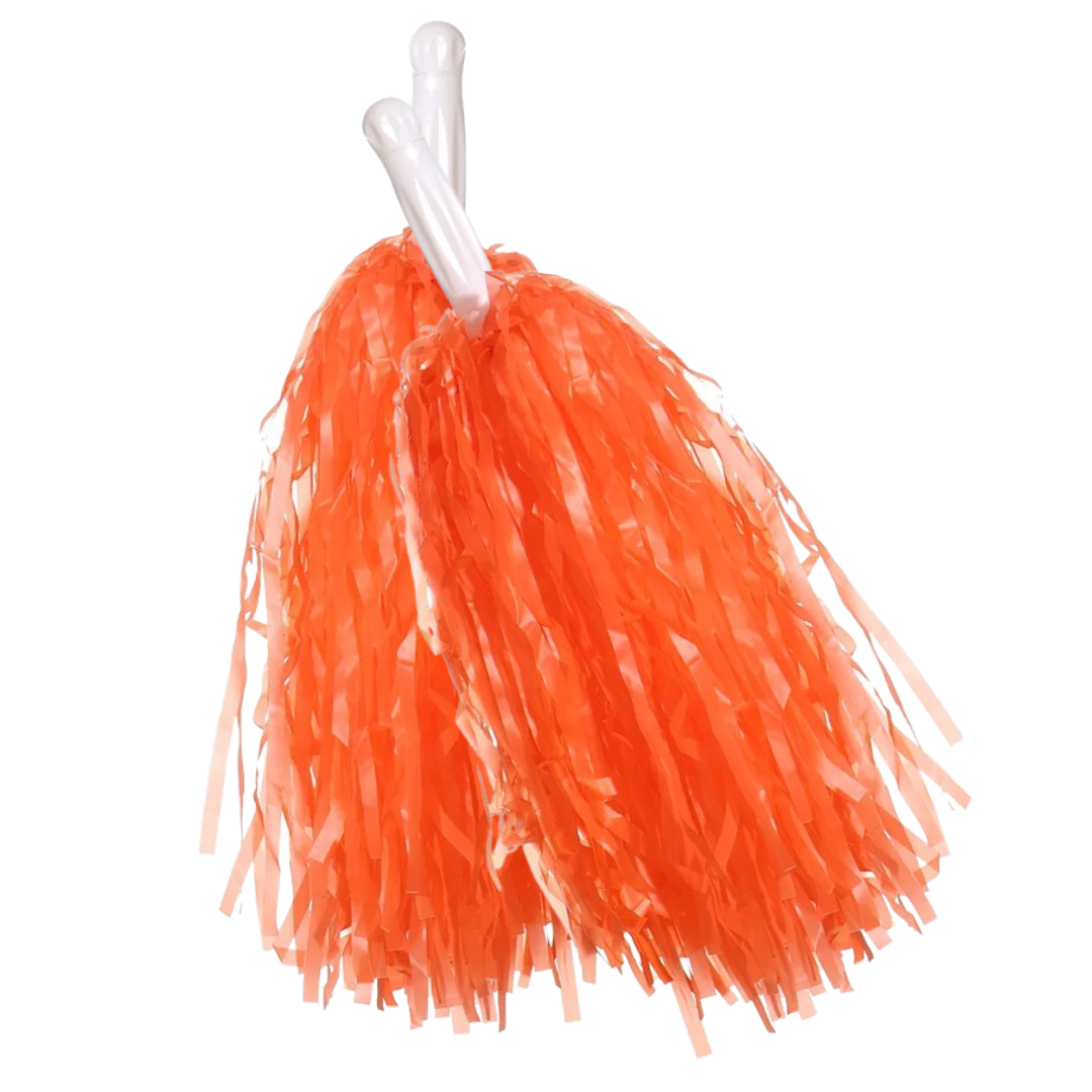Carnival Basics - Ponytails and Fairytales