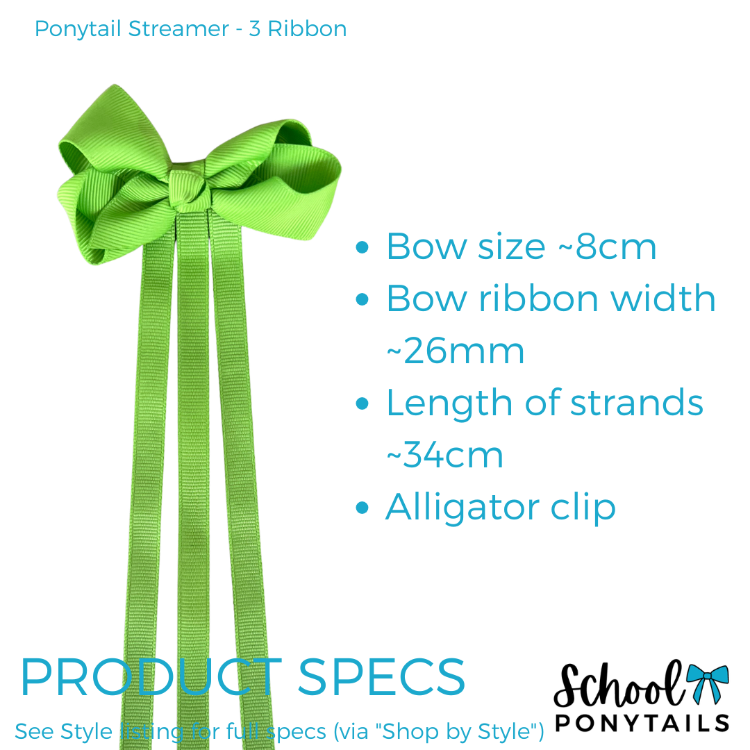 Big School Kit (19pc) - Ponytails and Fairytales