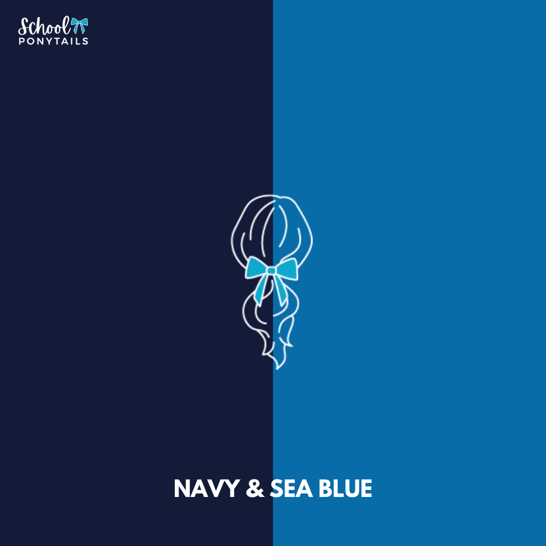 Big School Kit (19pc) - Ponytails and Fairytales