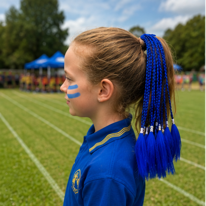 Blue House Coloured Hair Extensions