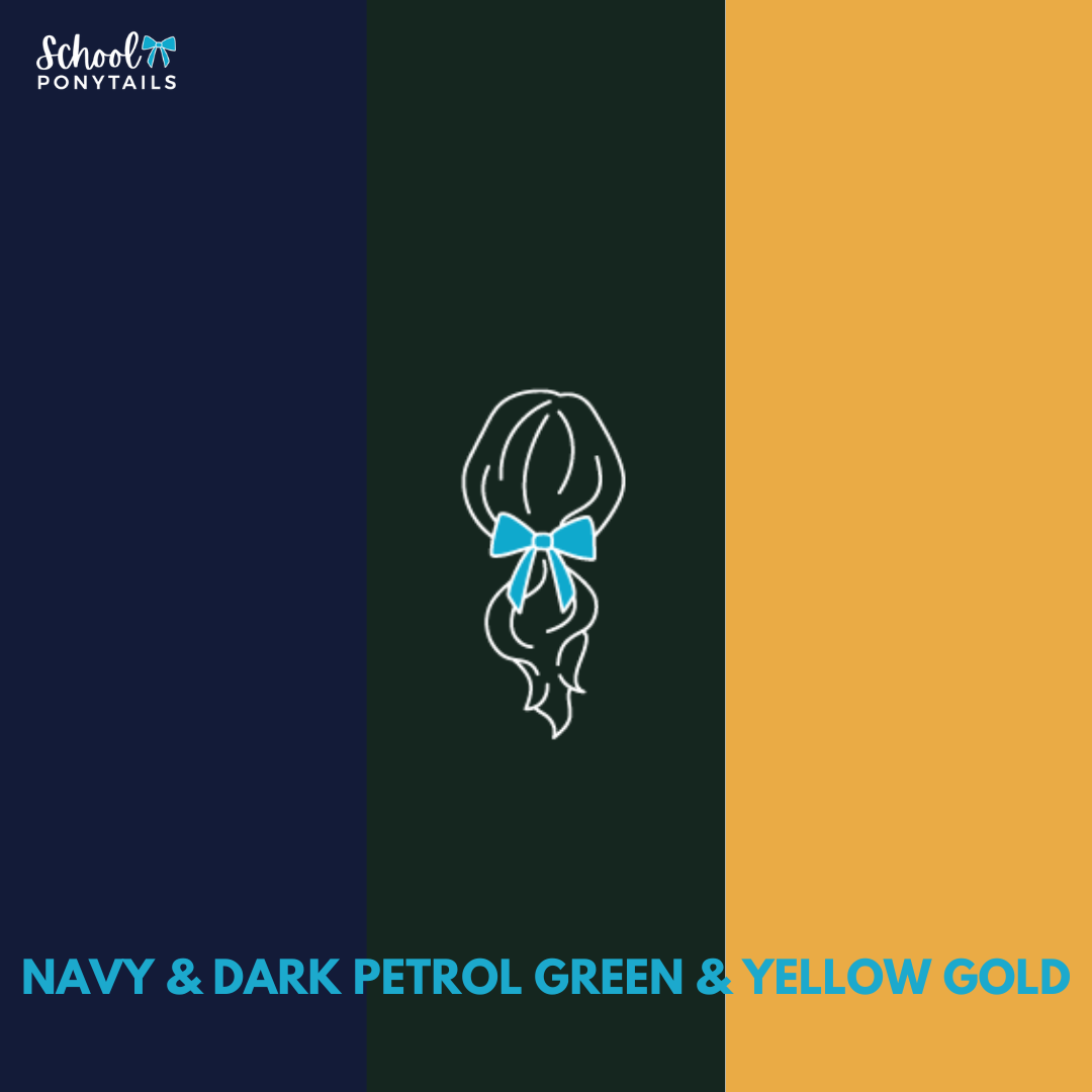 Sunburst Clip - Ponytails and Fairytales