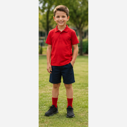 School House Socks