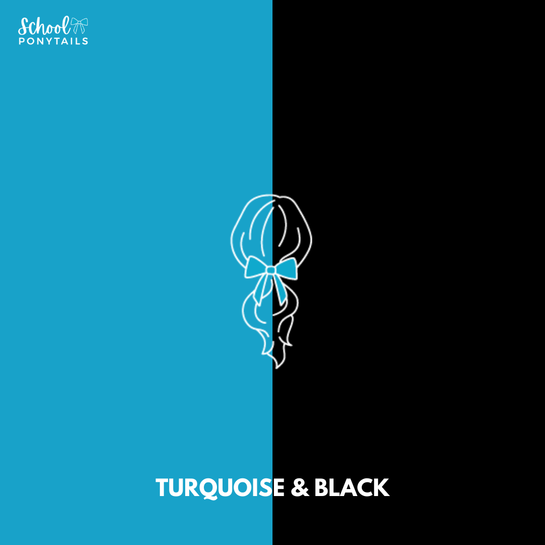 Turquoise & Black Hair Accessories