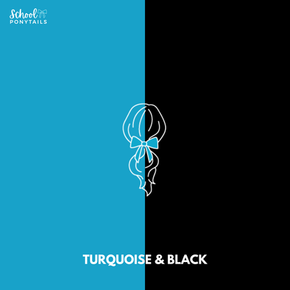 Turquoise & Black Hair Accessories
