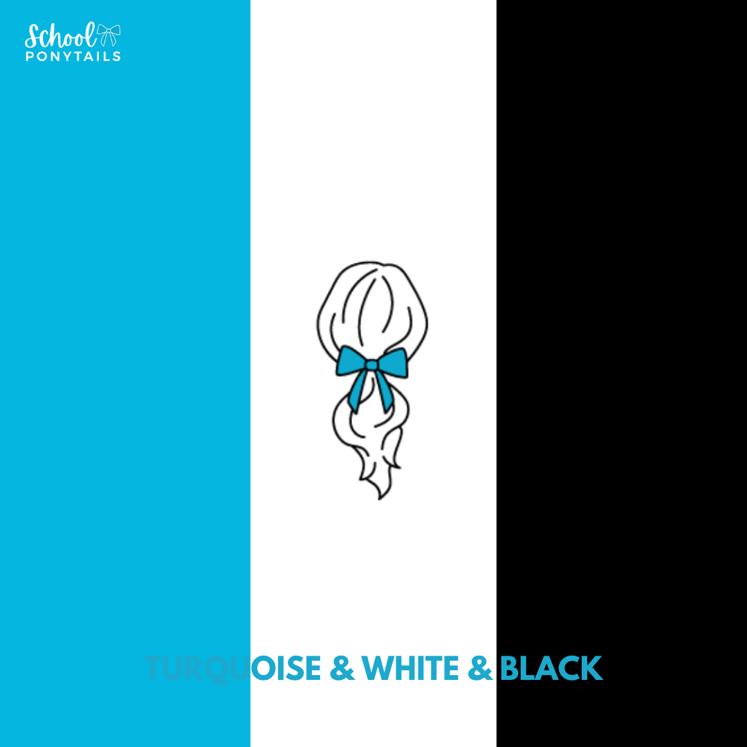 Turquoise & Black & White Hair Accessories