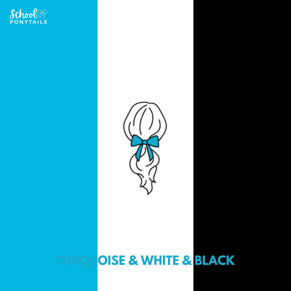 Turquoise & Black & White Hair Accessories
