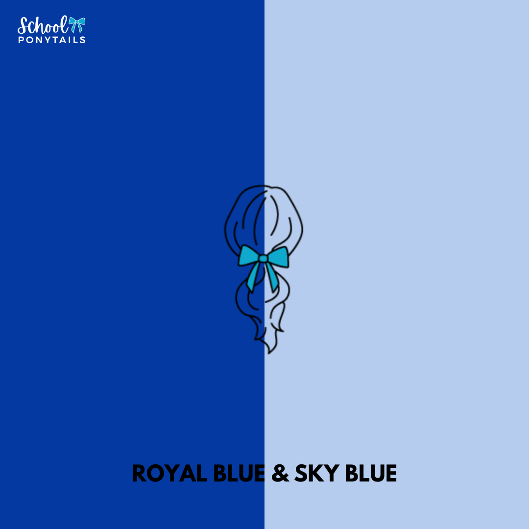 Sky Blue & Royal Blue Hair Accessories
