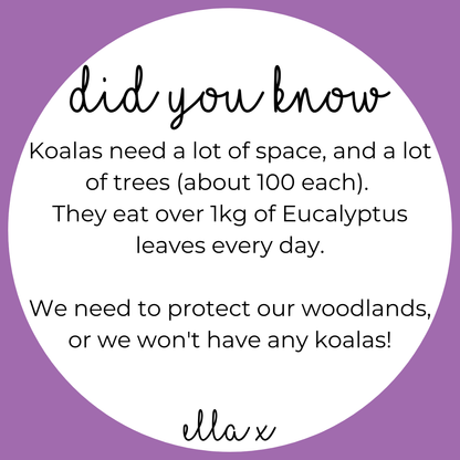 Limited Edition: Koala + Eucalyptus Covered Buttons Hair clips Ella Made 