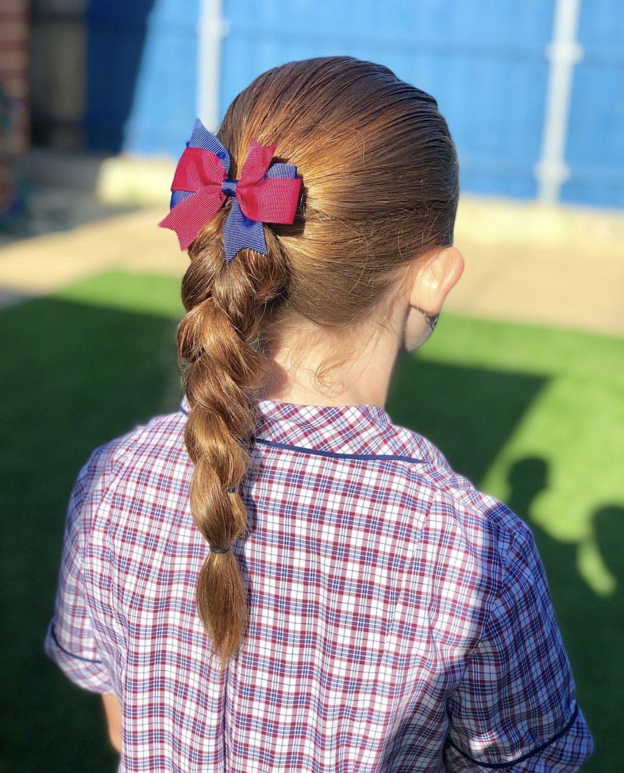 Woodland Grove Primary School Pack - Pigtails 6pc